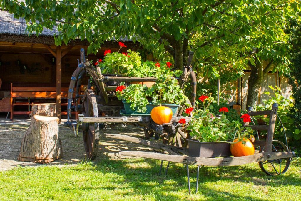 Kaktusz Villa Heviz Exterior foto